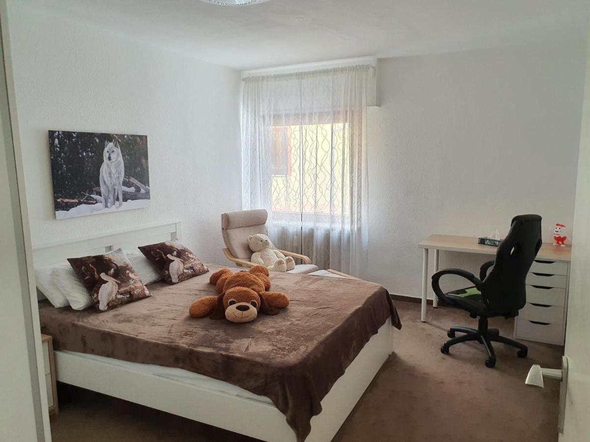 היידלברג Hotel Garni Steinbacher Tal מראה חיצוני תמונה